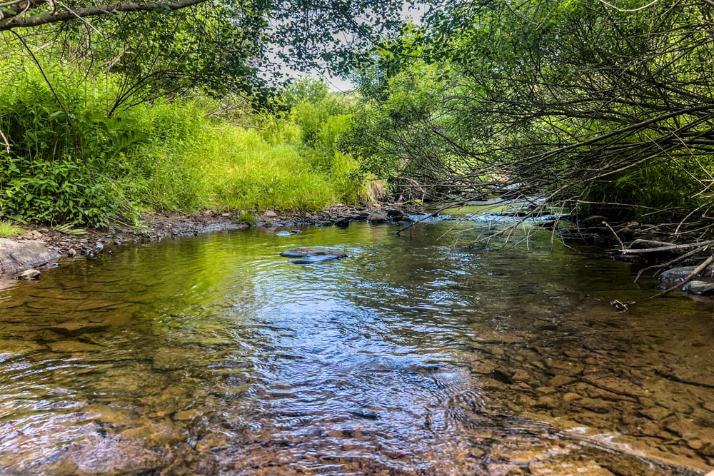 063 Ouleout Creek - 7881 County Hwy 14