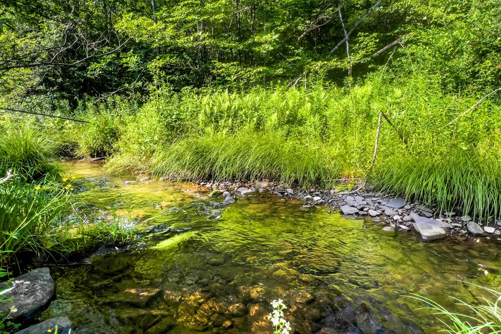 064 Ouleout Creek - 7881 County Hwy 14