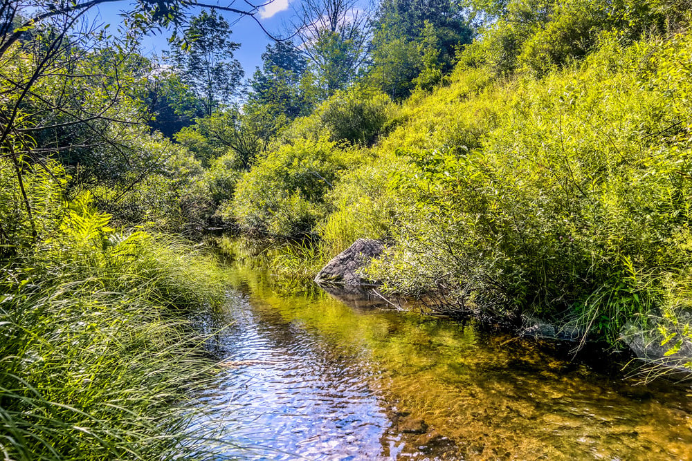 065 Ouleout Creek - 7881 County Hwy 14