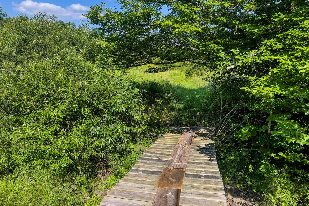 067 Trail to Meadows - 7881 County Hwy 14