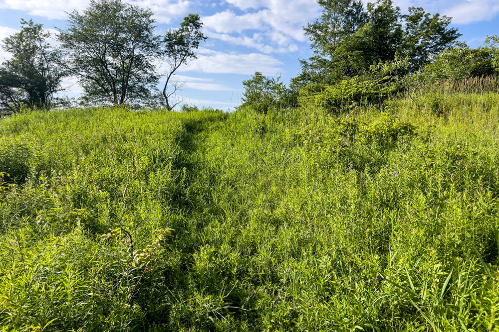 071 Trail to Meadows - 7881 County Hwy 14