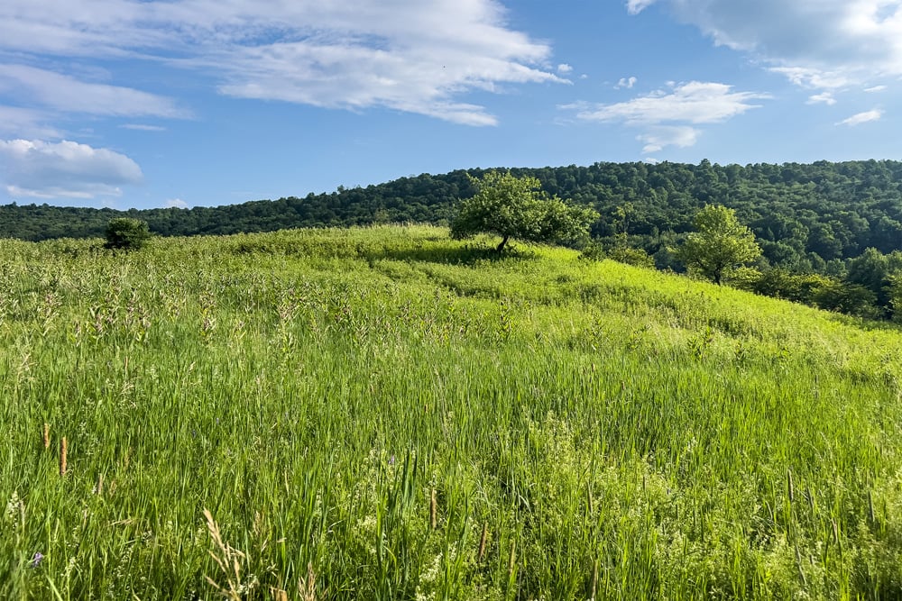 083 Classic Catskill Country - 7881 County Hwy 14
