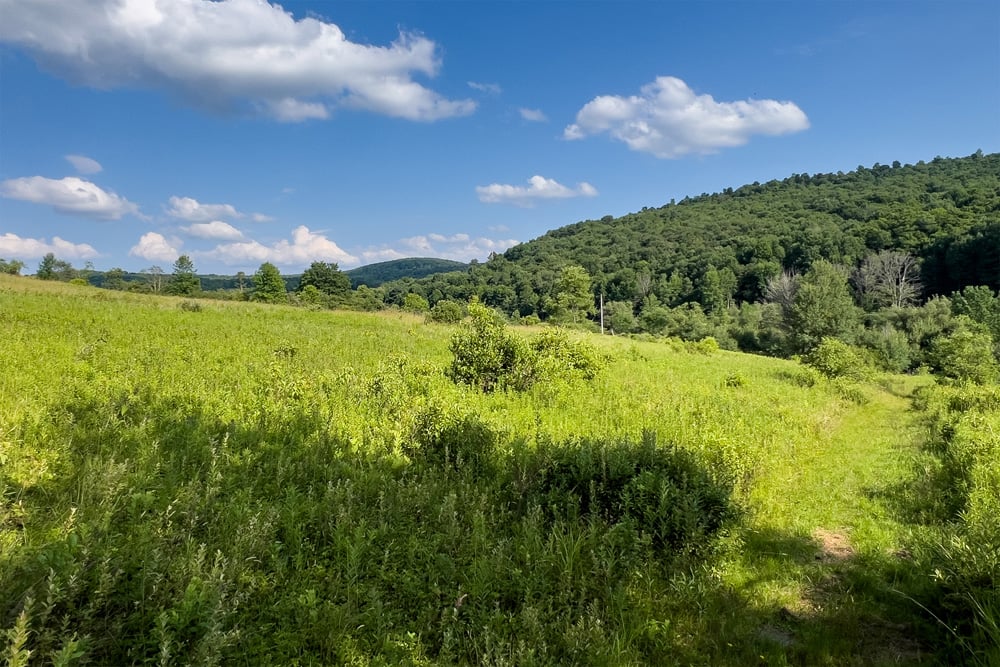 085 Classic Catskill Country - 7881 County Hwy 14