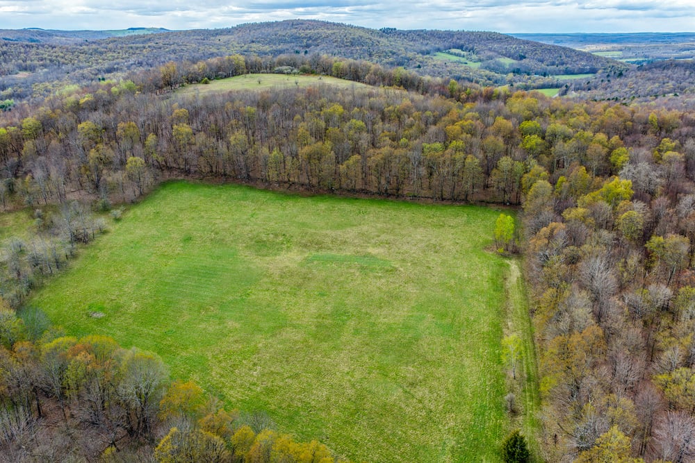 23 acres Brownell Rd -- 001A