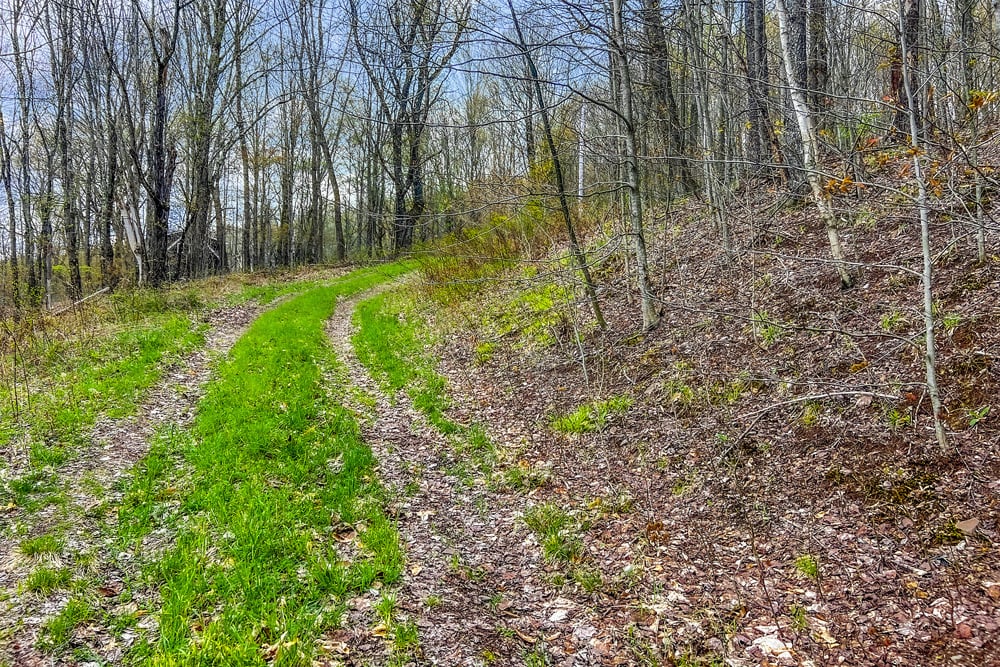 23 acres Brownell Rd -- 002