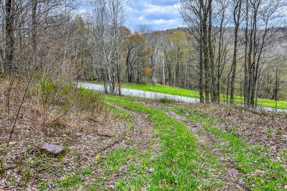 23 acres Brownell Rd -- 003