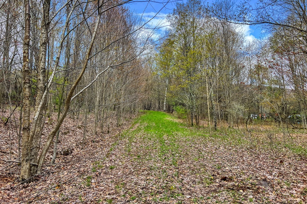 23 acres Brownell Rd -- 004