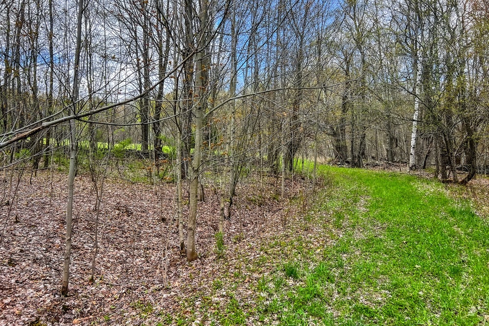 23 acres Brownell Rd -- 005