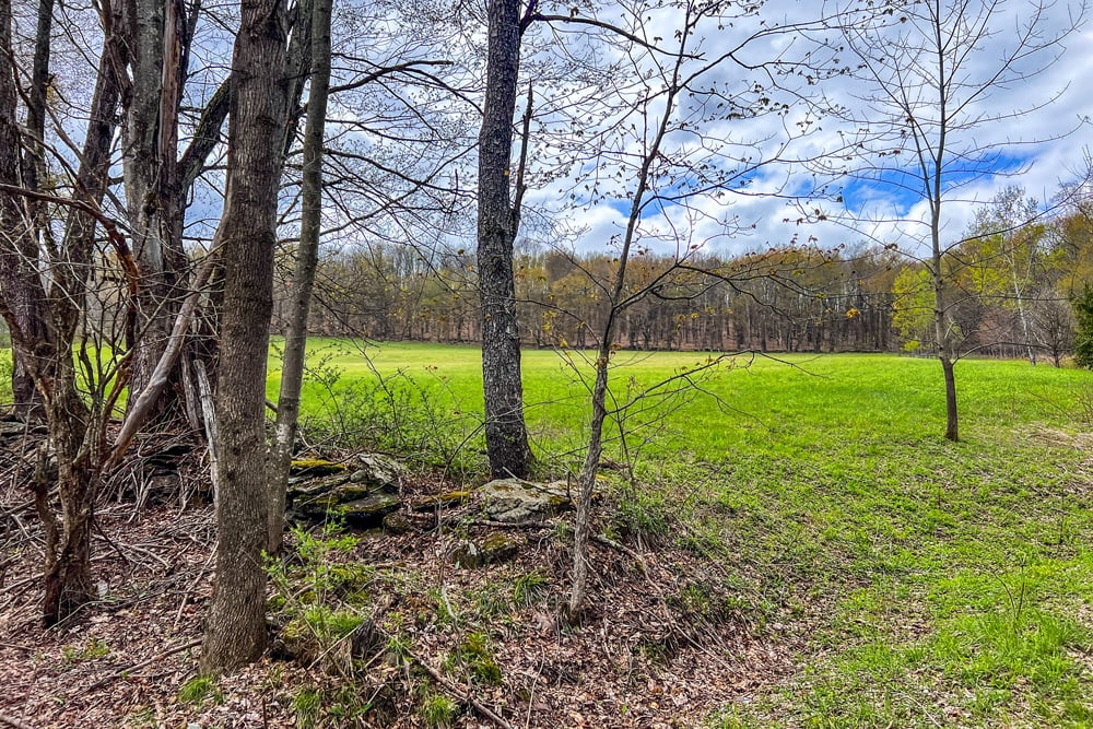23 acres Brownell Rd -- 006