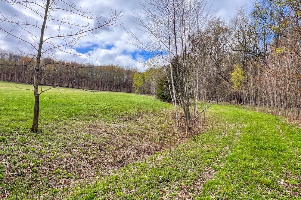 23 acres Brownell Rd -- 007