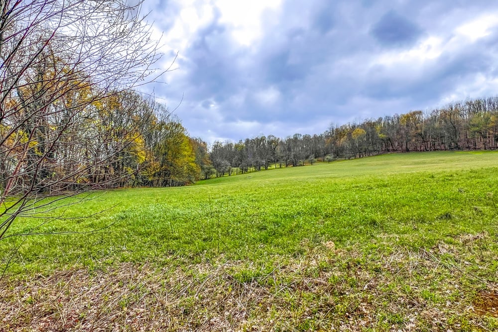 23 acres Brownell Rd -- 008
