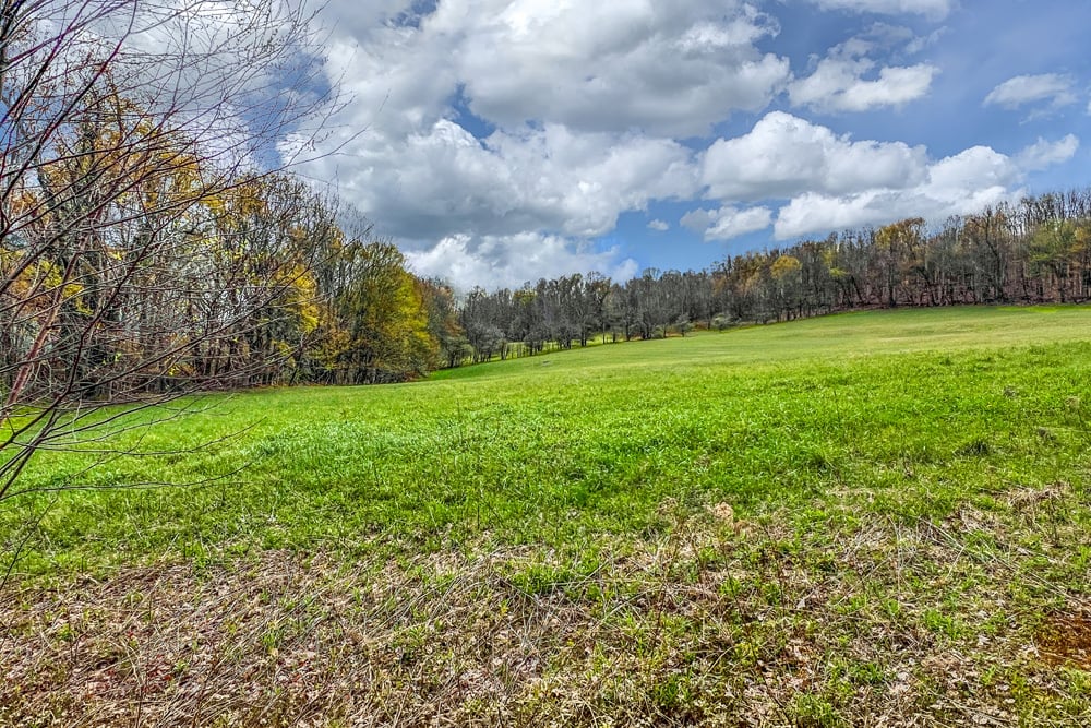 23 acres Brownell Rd -- 009