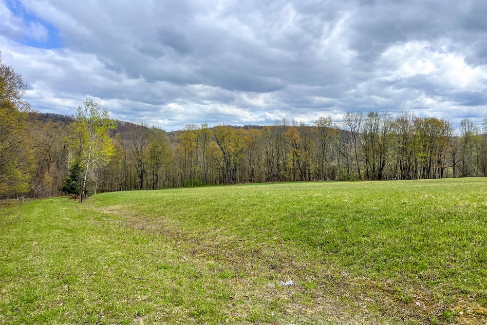 23 acres Brownell Rd -- 011