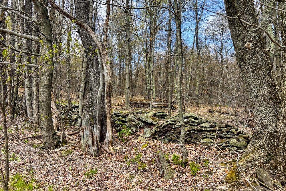 23 acres Brownell Rd -- 013