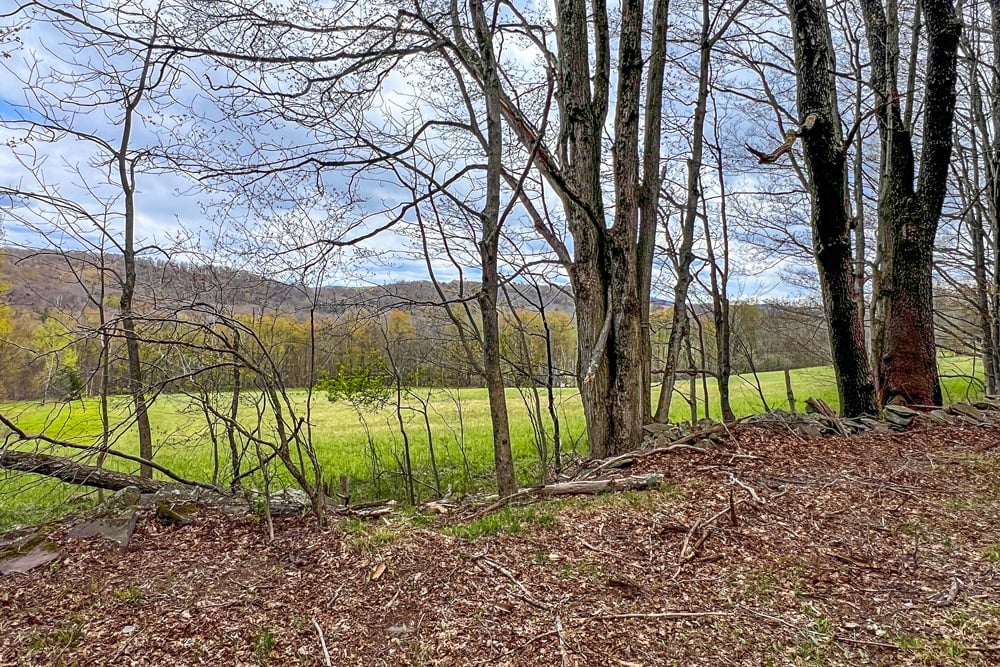 23 acres Brownell Rd -- 014