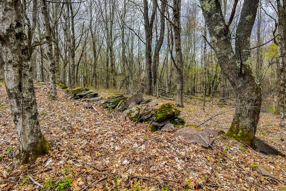 23 acres Brownell Rd -- 018
