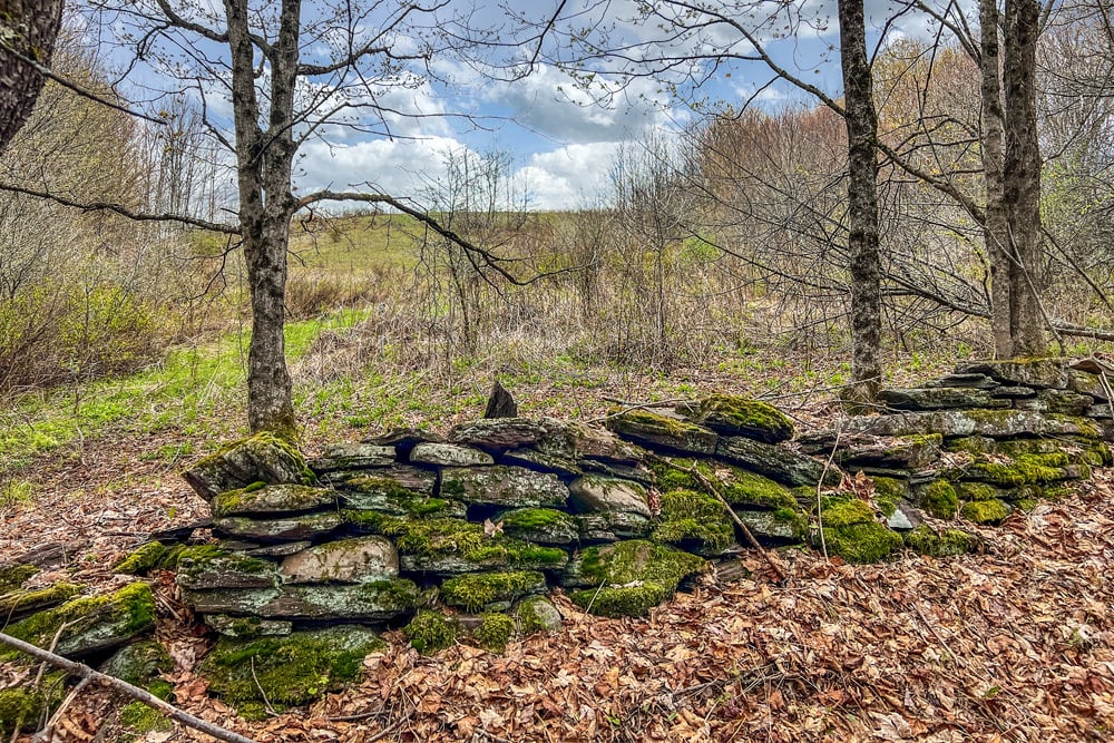 23 acres Brownell Rd -- 019