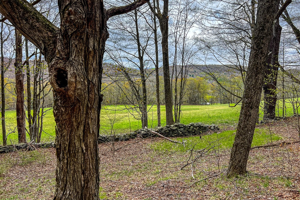 23 acres Brownell Rd -- 020