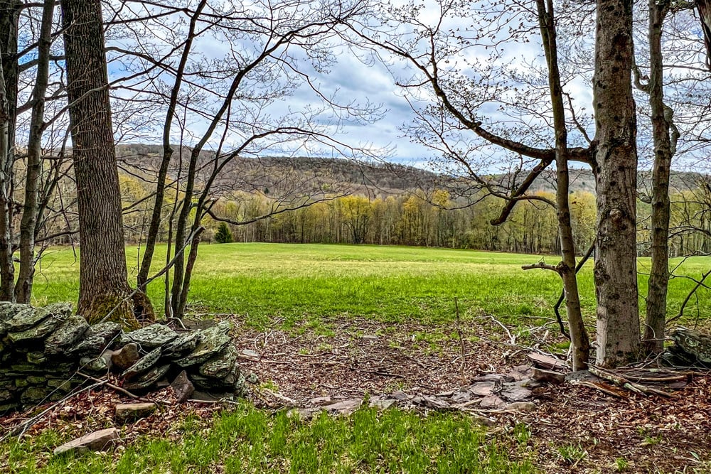 23 acres Brownell Rd -- 021