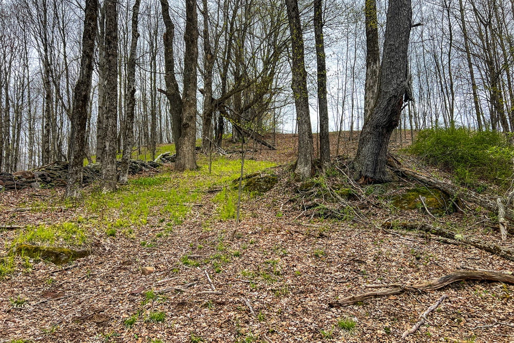 23 acres Brownell Rd -- 022