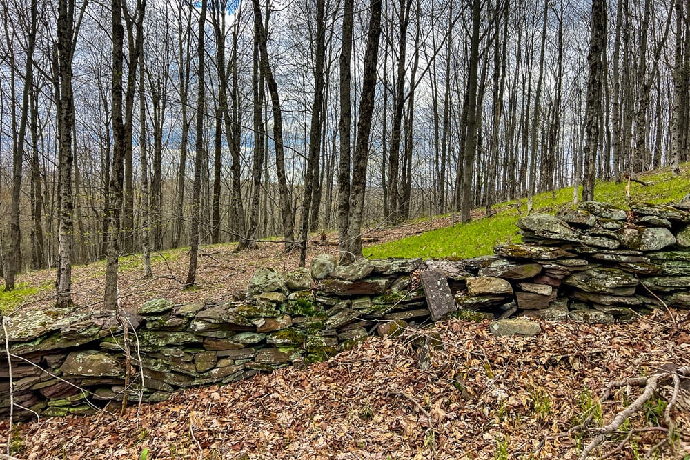 23 acres Brownell Rd -- 023