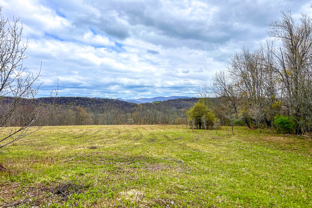 23 acres Brownell Rd -- 027
