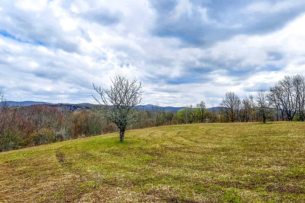 23 acres Brownell Rd -- 028