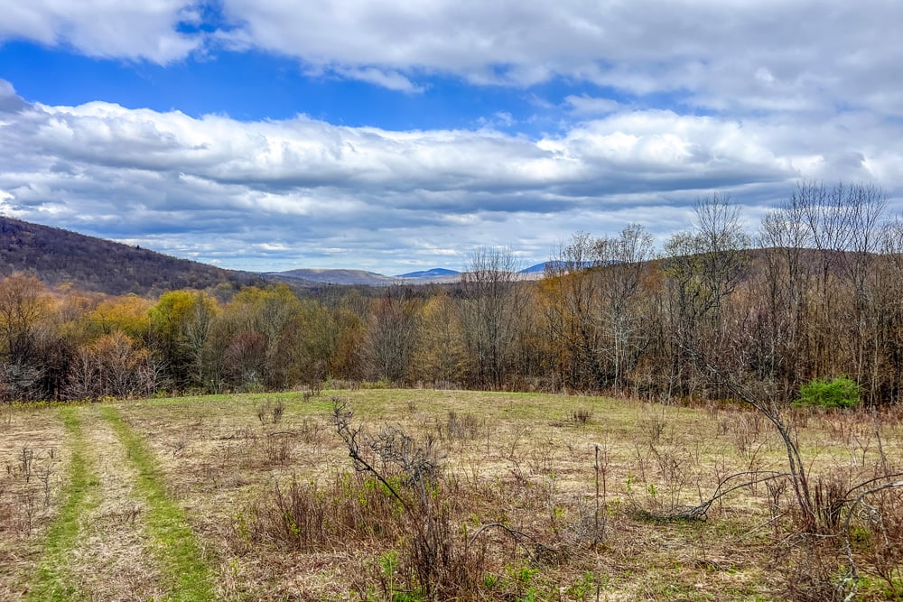 23 acres Brownell Rd -- 029
