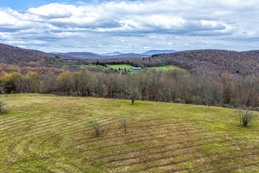 23 acres Brownell Rd -- 030