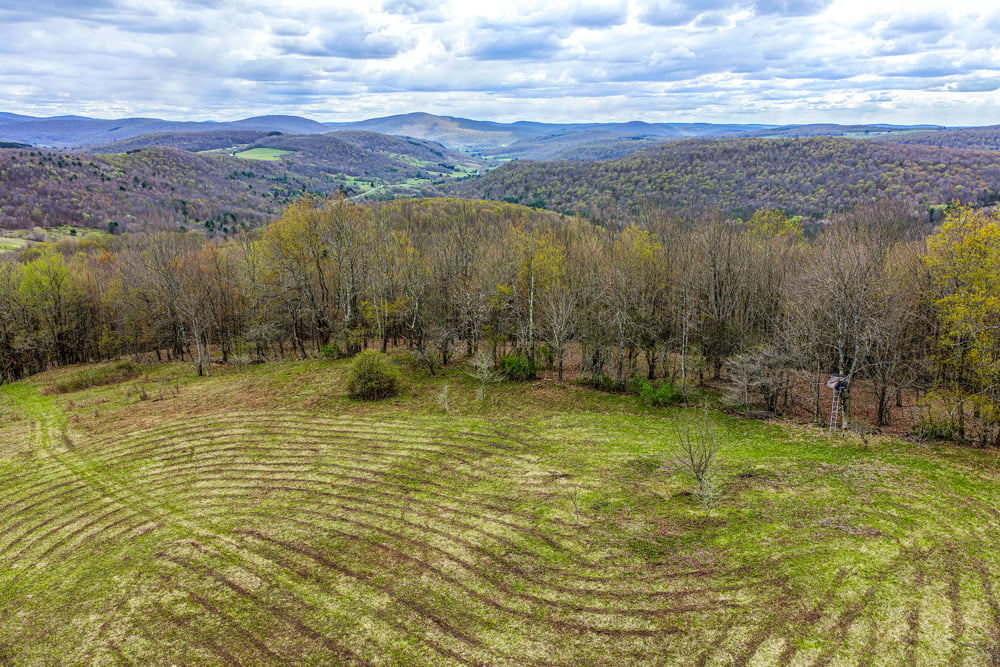23 acres Brownell Rd -- 031