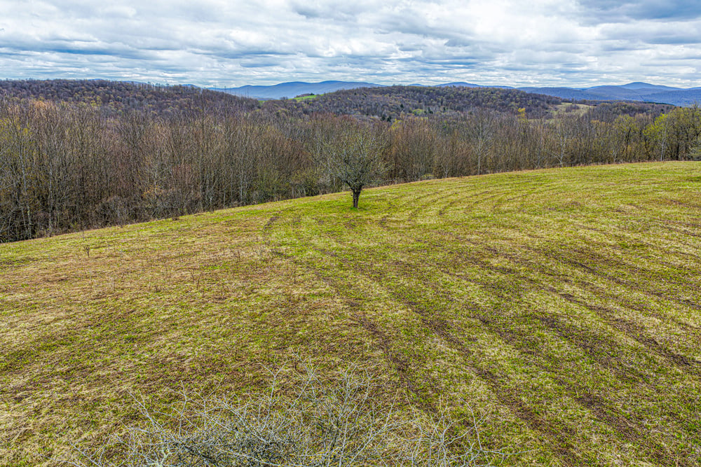 23 acres Brownell Rd -- 032