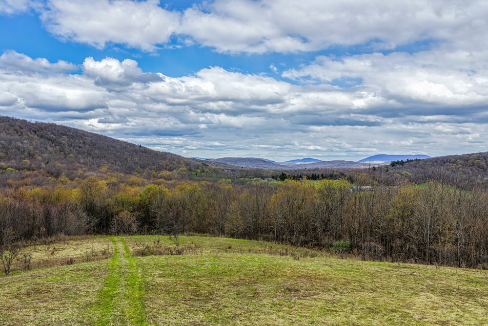 23 acres Brownell Rd -- 033