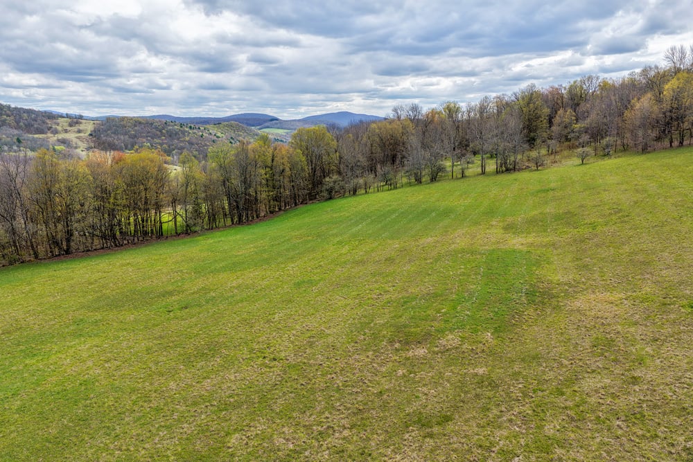 23 acres Brownell Rd -- 034