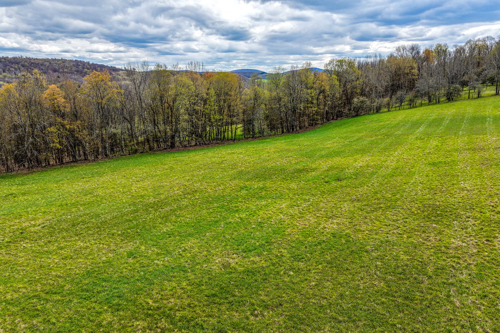 23 acres Brownell Rd -- 035