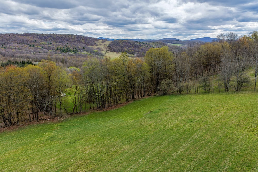 23 acres Brownell Rd -- 036
