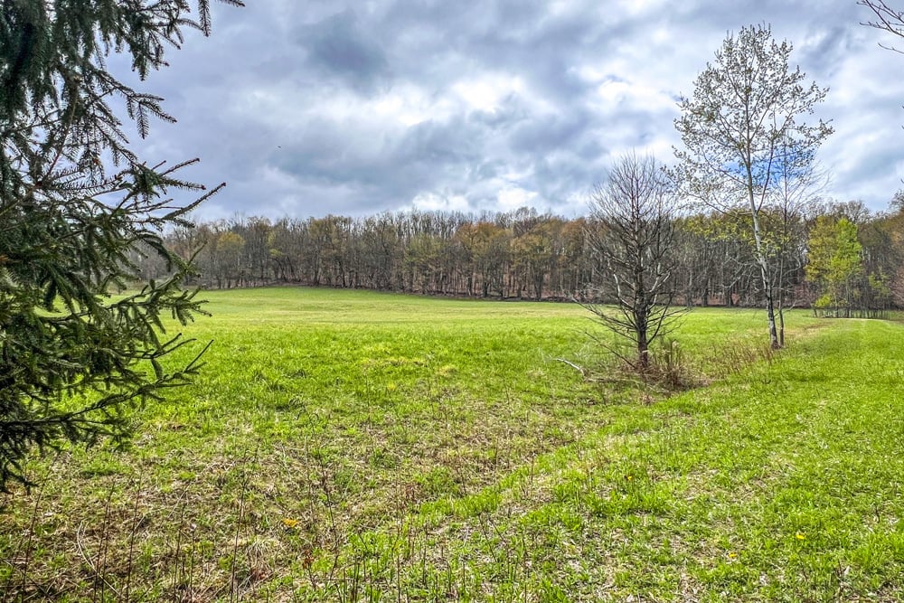 23 acres Brownell Rd -- 10