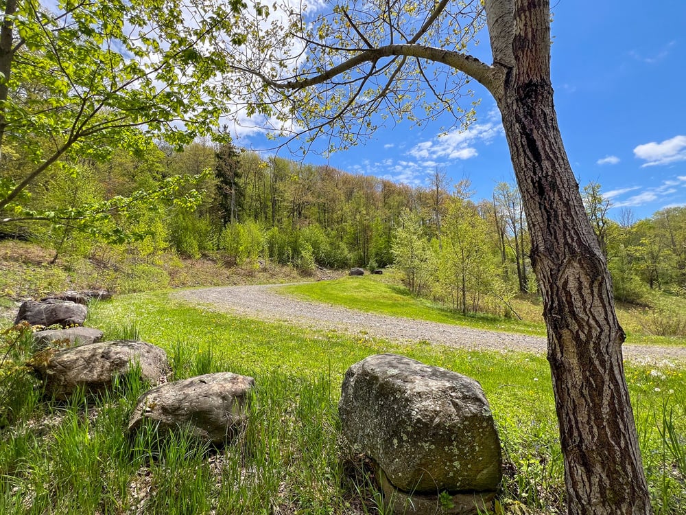 IMG_2248-Edit