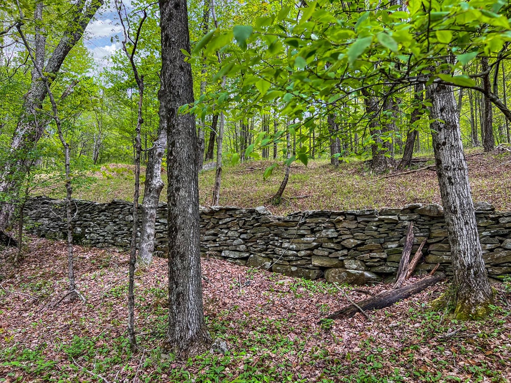 IMG_2301-Edit
