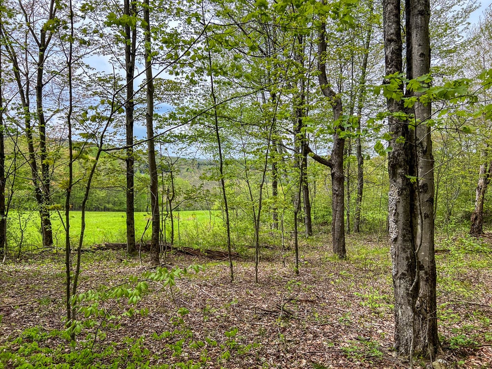 IMG_2302