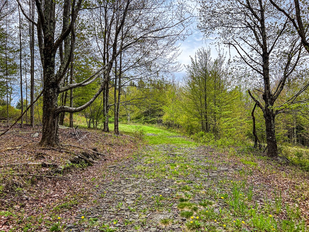 IMG_2370-Edit