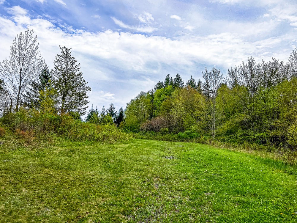 IMG_2371-Edit-Edit