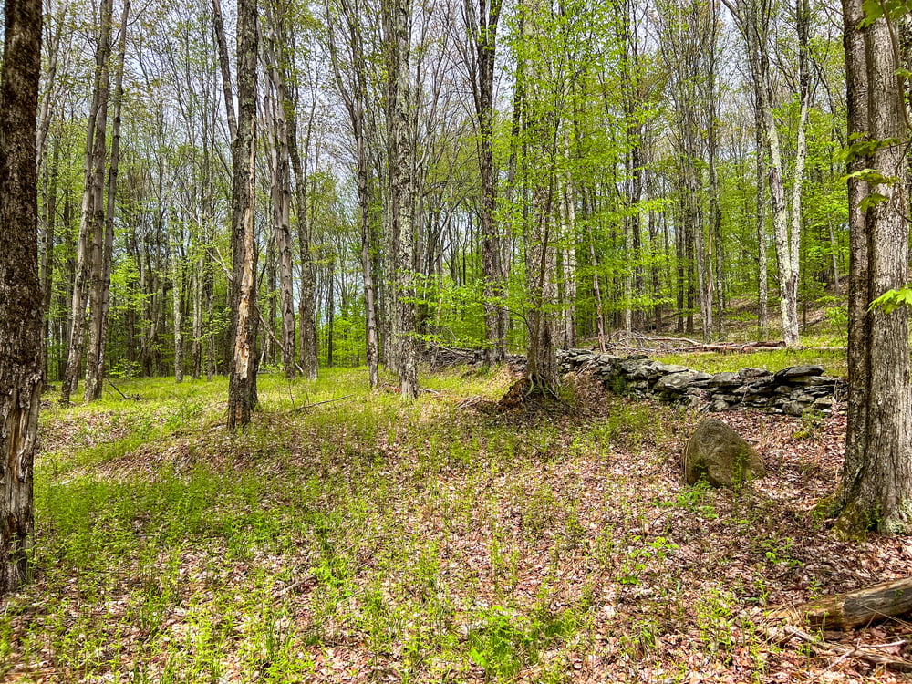 IMG_2415-Edit