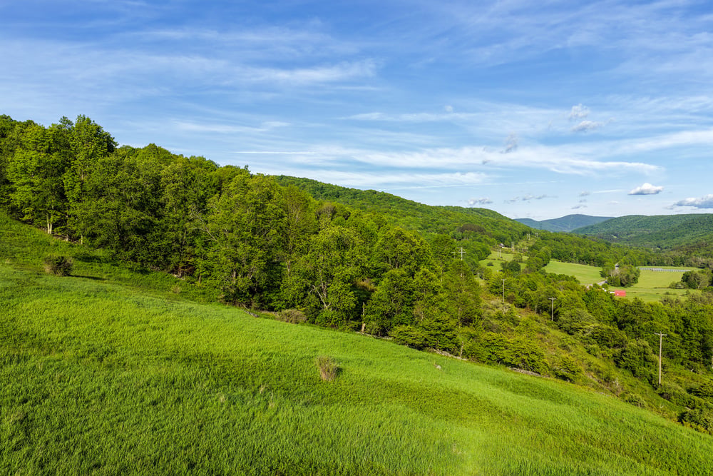 Sunny Slope -- 038