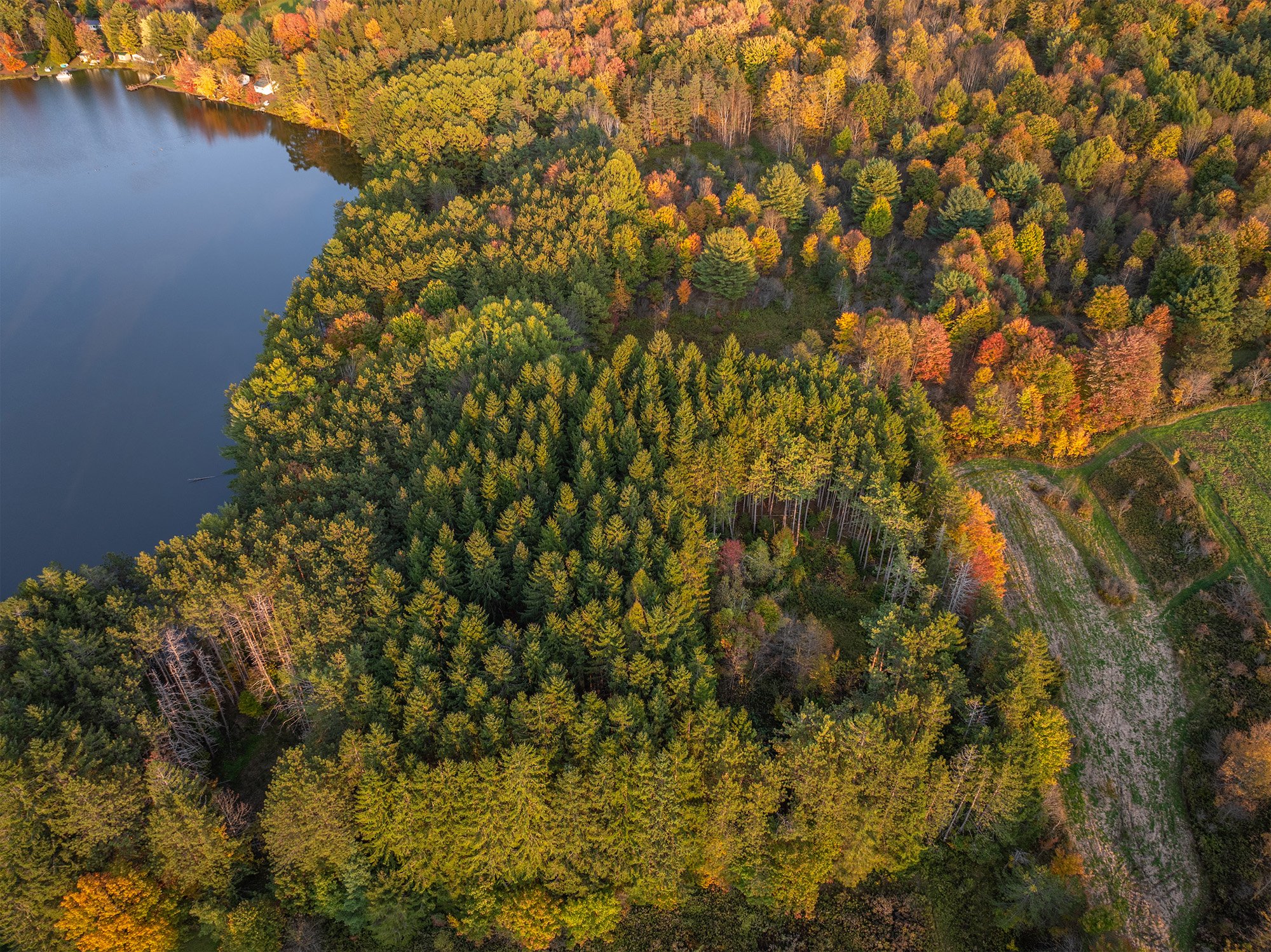 DJI_20241011173702_0100_D-Edit