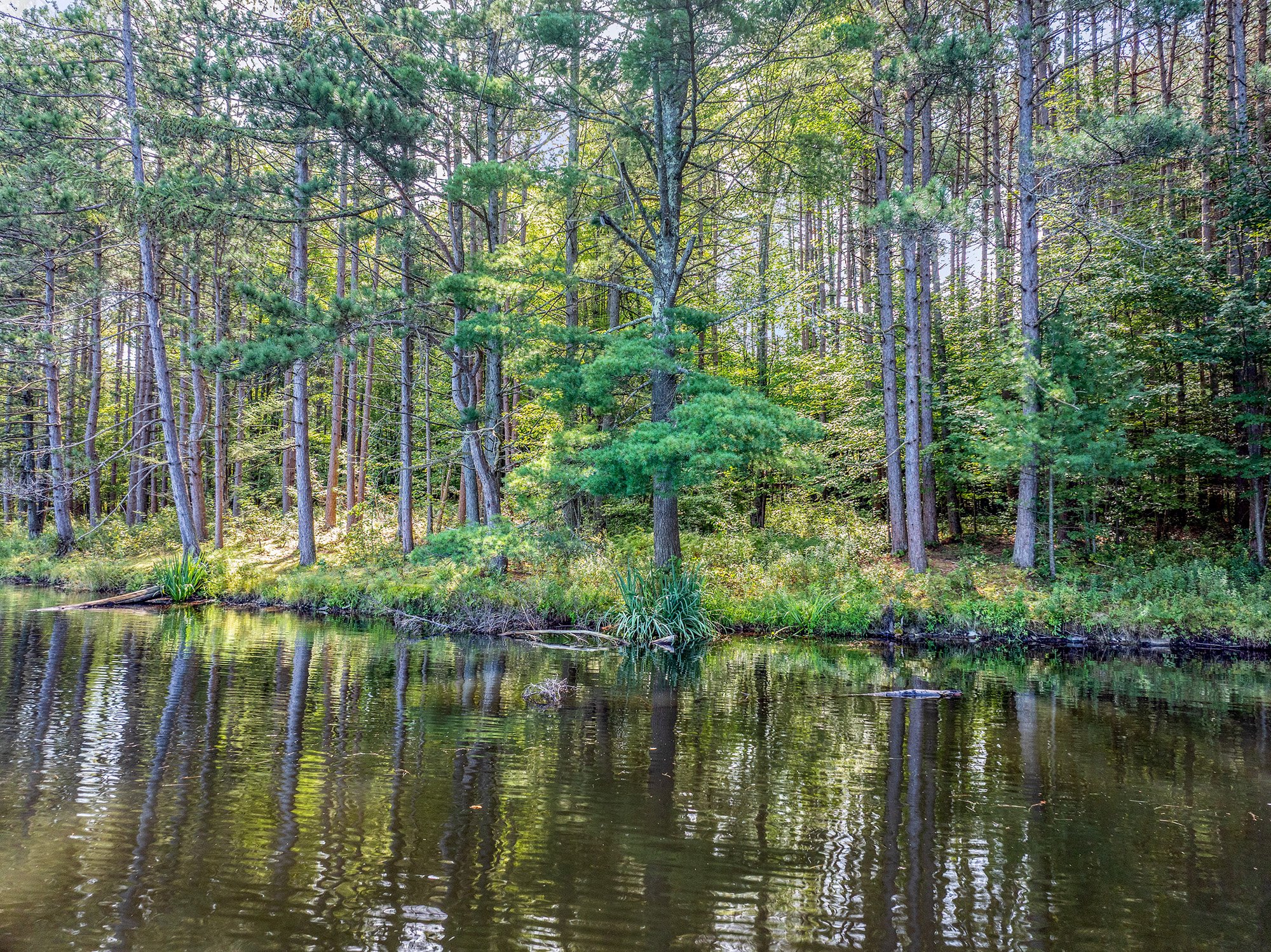 DJI_20250823110658_0026_D-Edit-Edit