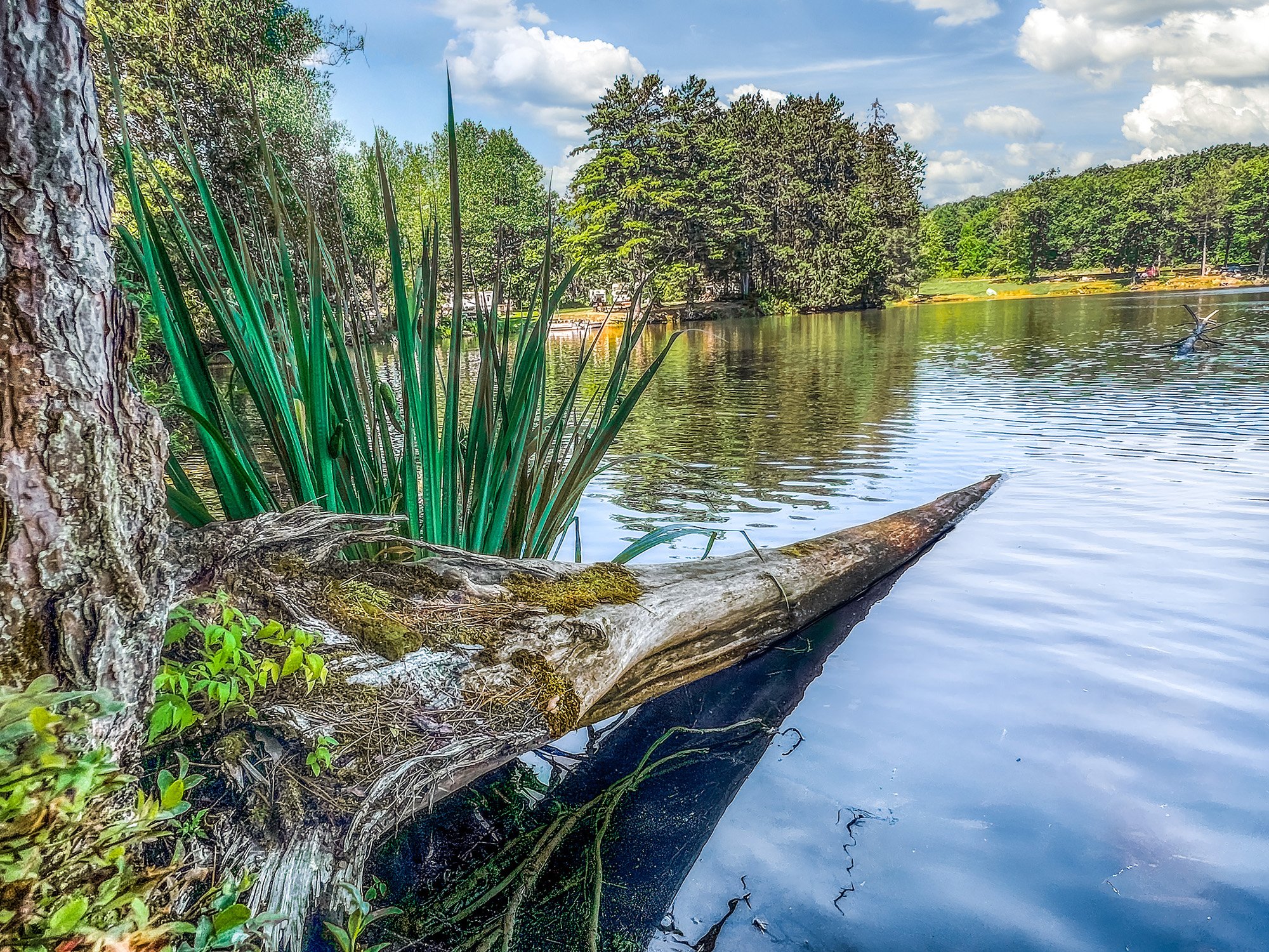 IMG_9614-Edit-Edit-Edit-Edit