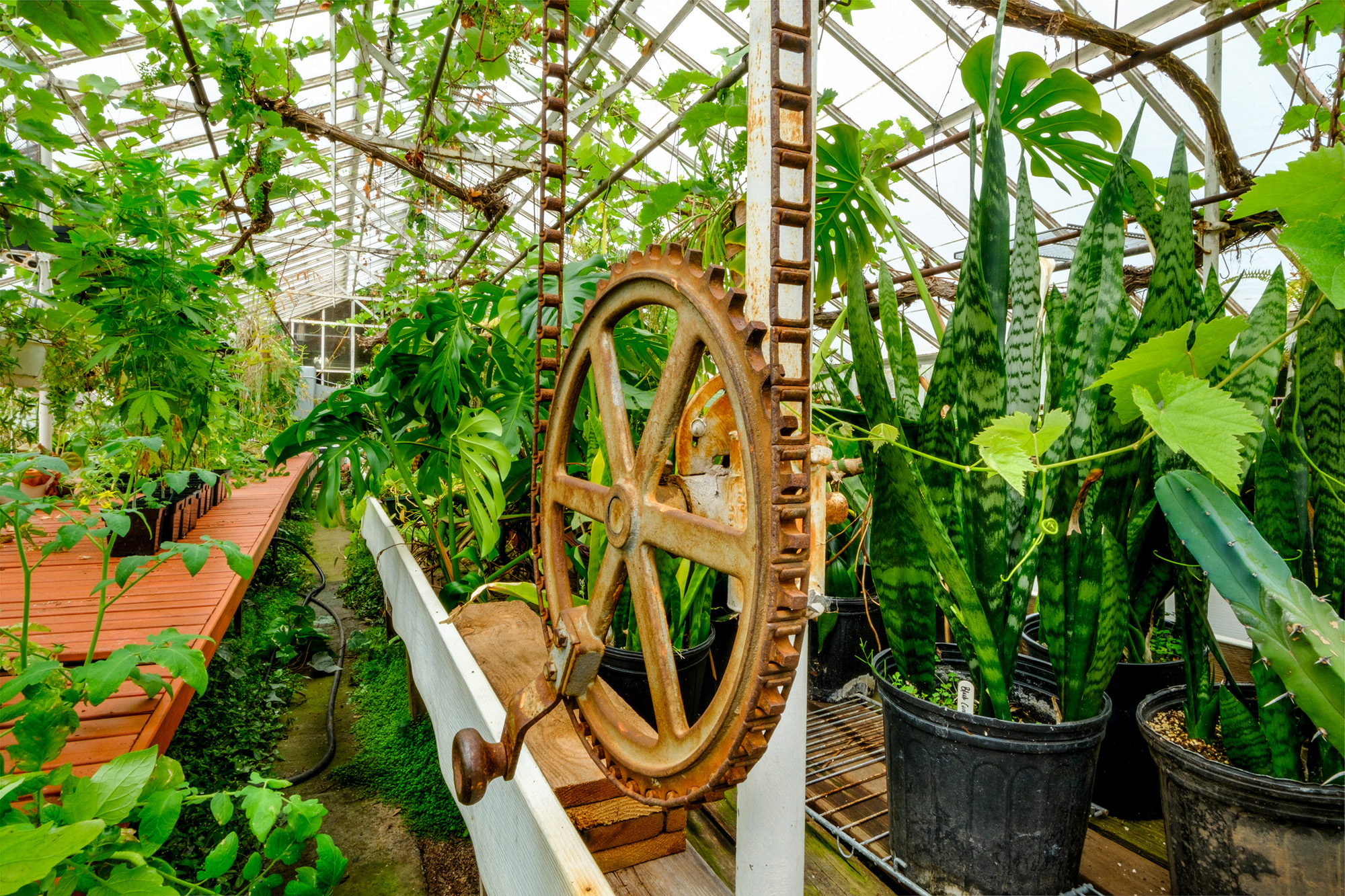 A Rare Piece of Paradise: The Delhi Farm Property Where History, Horticulture, and Modern Living Meet